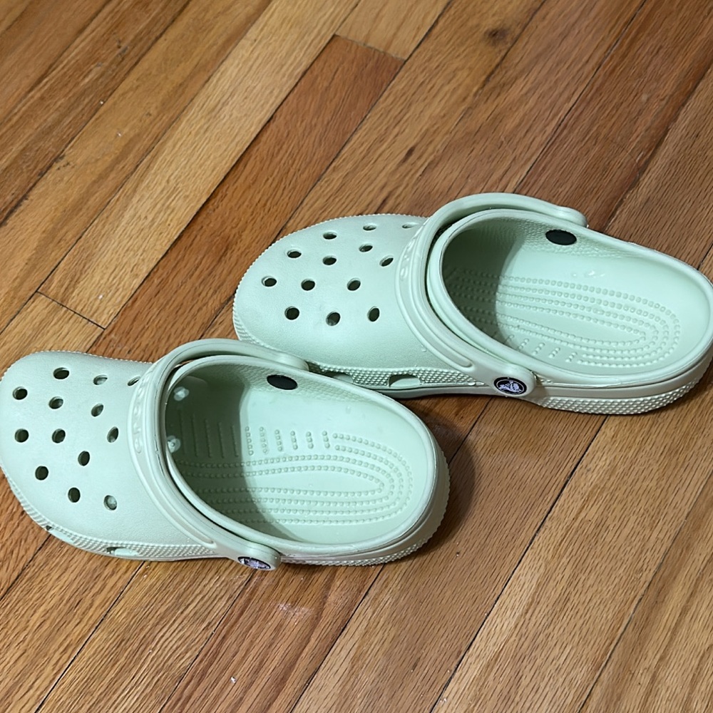 CROCS CELERY